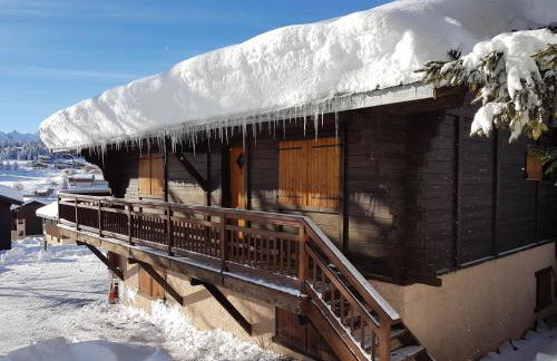 APPARTEMENT PLEIN SUD AUX SAISIES N°6 - Foto 29