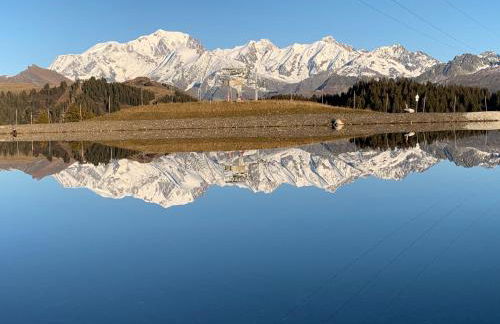 APPARTEMENT COSY AUX SAISIES n1 - Foto 36