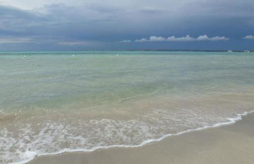 Tenuta Serre - Foto 48