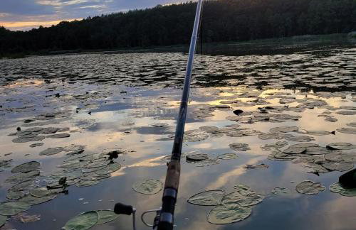 Leśna Kryjówka domki w lesie - Foto 48