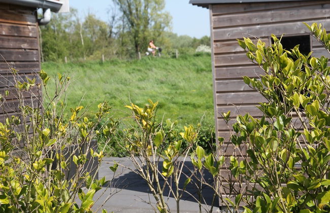 Rustic Bungalow in North Holland near Forest - Foto 32