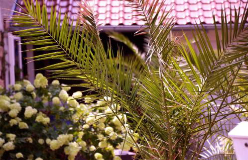 Ferienhaus Taubergießen - Foto 29