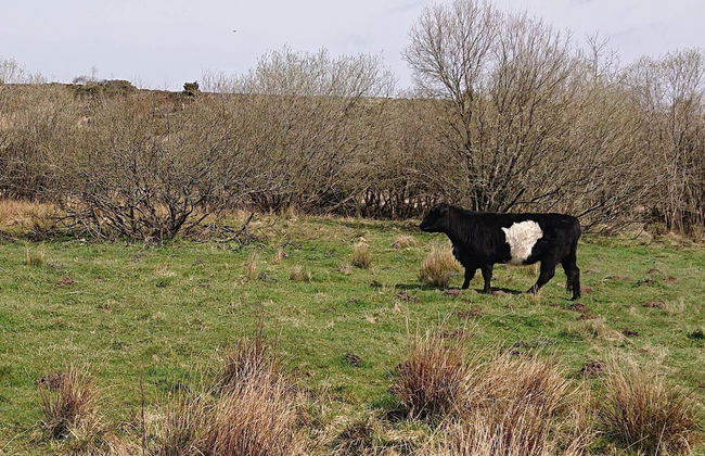 4 Star Holiday Home in Hovborg - Foto 8