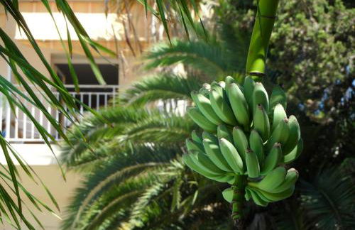 Residence Veles Plage - Foto 26