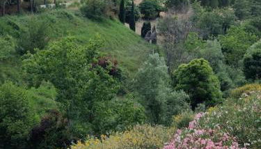HolidayHome Manetta tra Mare e Natura - Photo 5