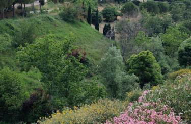 HolidayHome Manetta tra Mare e Natura - Photo 5
