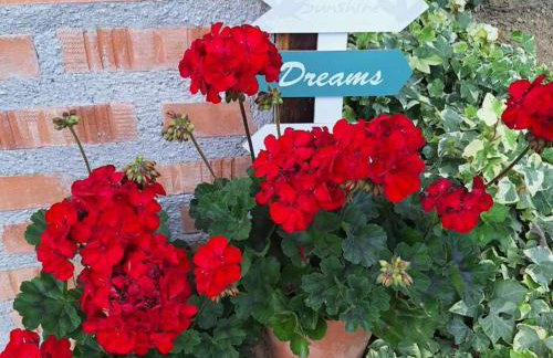 Ruralna kuća za odmor Brezanka, Zagrebačka ulica 21 Gornja Stubica - Foto 39