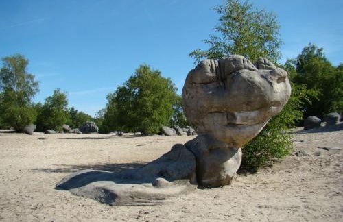 Gîte Le Carpe diem Milly-la-Forêt - Foto 35