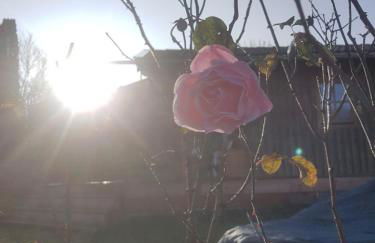 Schrödlhof - Foto 17