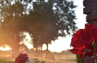 Kreativhof Lehmberg - Photo 30