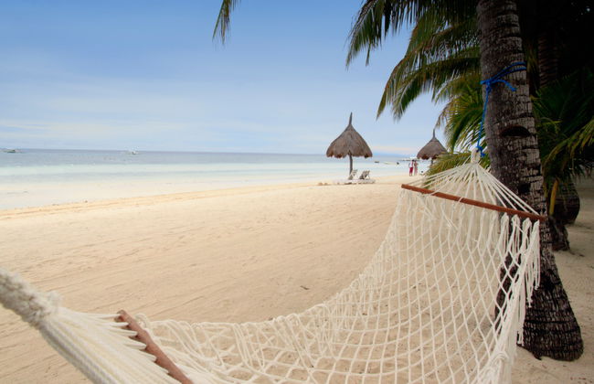 Découvrez Bohol - Visite Privée - Photo 3