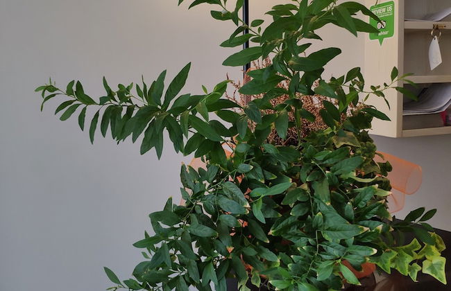 Hotel Feel Inn Venice Airport Rooms - Foto 2