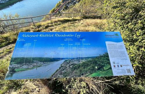Rheinauszeit - Foto 31
