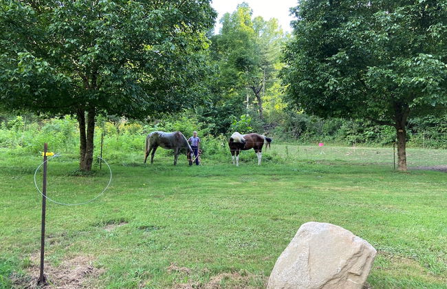 Dragon's Nest Mountain View - Foto 22