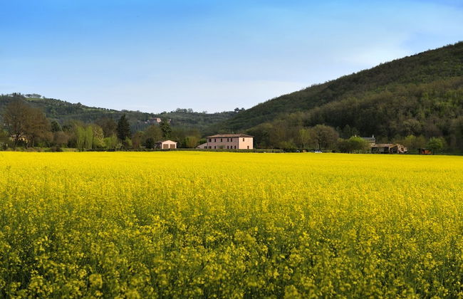 Agriturismo Il Corniolo - Photo 72