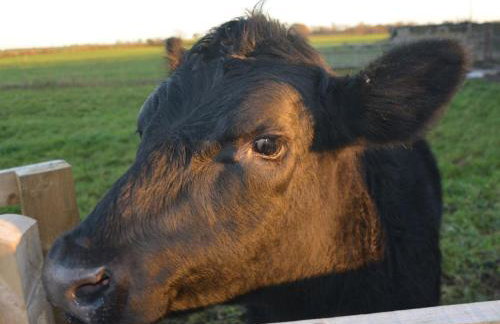 3 Bed in Thirsk oc-40351 - Foto 19