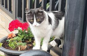 Casa Rural EL PUENTE - Foto 69