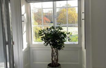 Denham Mount - Photo 19