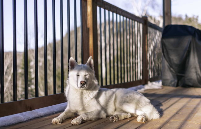 Le Sherpa -spa Billard et acc s au lac - Foto 49