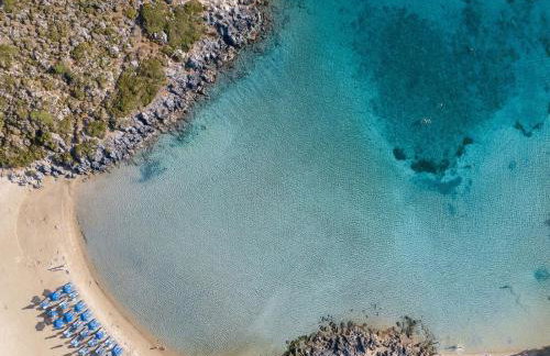 Magnifique villa avec piscine au bord de mer - Foto 43