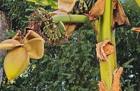 Meung sur Loire sur la route des Châteaux - Photo 43