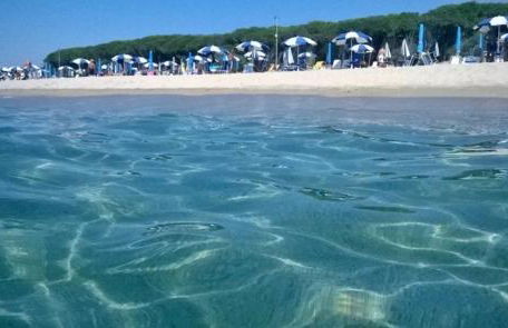 Casa Orchidea - Foto 9