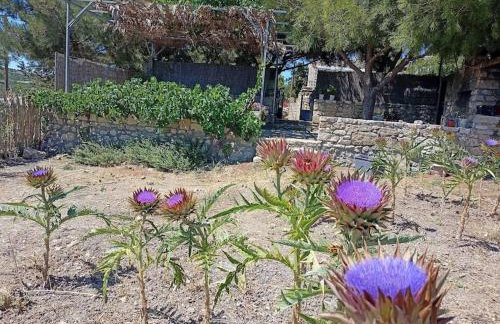 Traditional Creta stone house in serenity village - Foto 63