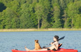 Azyl Apetytu - Foto 21