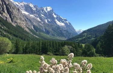 NEW Alpe Veille, Chalet Centro La Thuile 2 Bagni e Garage Privato - Foto 53