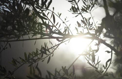 Ethos Retreat,Luxure Villas - Foto 21