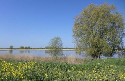 Haus Sonnenhof am Dollart 45240 - Foto 10