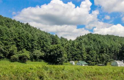 Country Classic - Foto 22