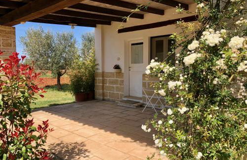 Masseria La Torre - Foto 25