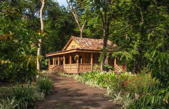 Tour cultural pelo Parque Diamante Eco - Foto 7