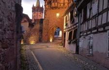 Gîte Le Marronnier, parking et terrasse au calme, entre Colmar-Riquewihr et Obernai, vue sur espaces verts et coteaux d Alsace, route du vin-châteaux - Foto 14
