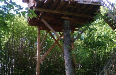 Ô bois dormant - Foto 83