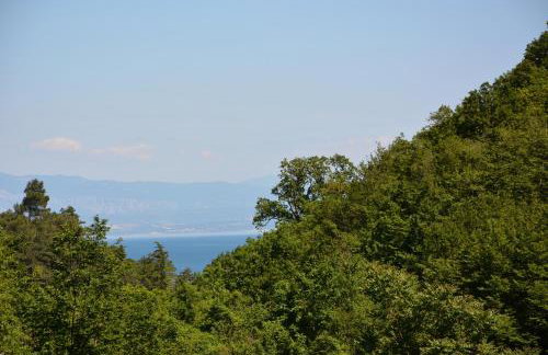 Apartment Zelena Oaza - Foto 26