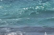 Alda House - Foto 32