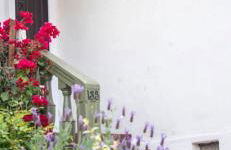 The Marlowe Garden Suite - Vintage Luxury at the Beach - Hotel Amenities - Foto 6