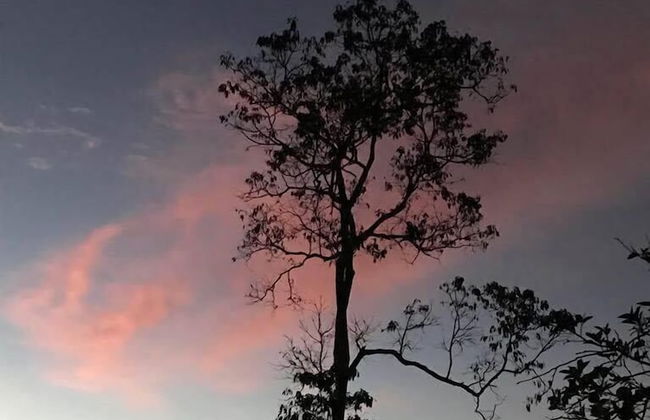 Entre Guaduas - Foto 41