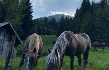 Baita Alpenrose - Photo 64