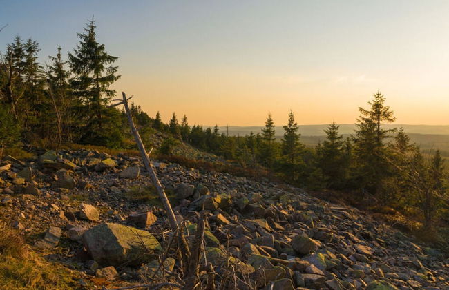 Holiday Apartment Waldfrieden - Photo 18