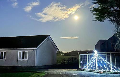 Seven Seasons - Photo 21