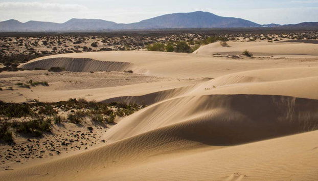 Tour di Fuerteventura in buggy - Foto 3