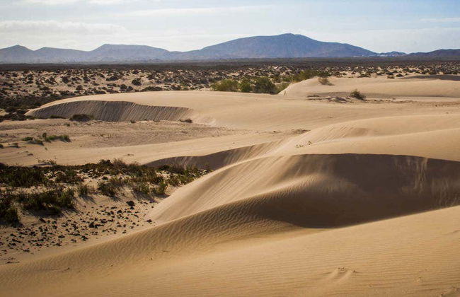Tour di Fuerteventura in buggy - Foto 3