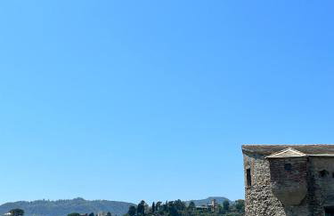 ELEGANT HOUSE BY THE SEA RAPALLO - 50 meters from the beach ,near Portofino - Photo 49