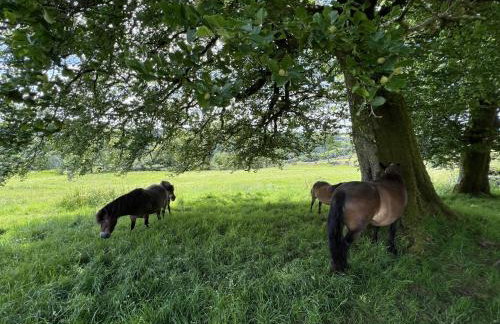Byre Cottage Dulverton - Foto 29