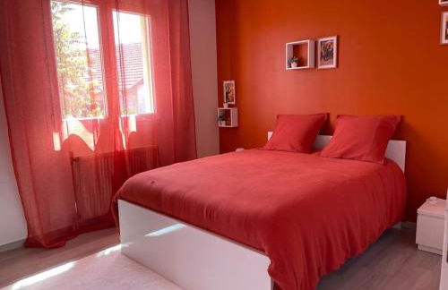 Villa individuelle - CHASSIEU - Foto 18