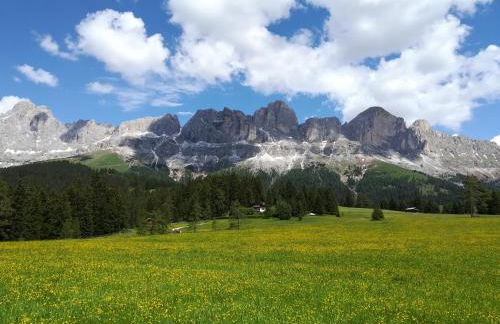 Residence Grand Hotel Carezza - Foto 69