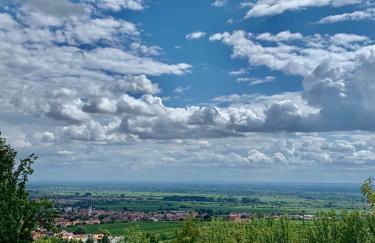 Ferienwohnung Vino Palatina - Foto 24